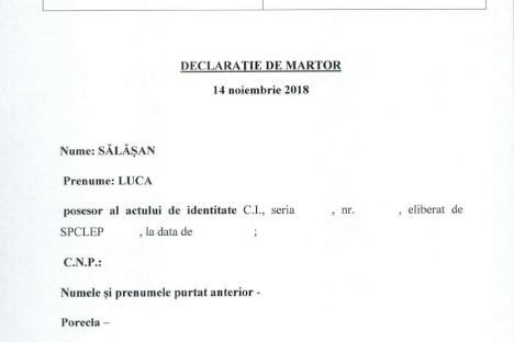 Declaratii Salasan Luca 14.11.2018